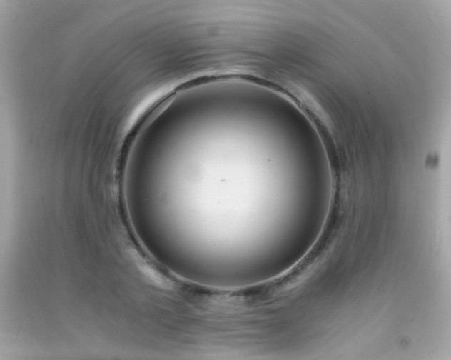 X0000091860789200709051207