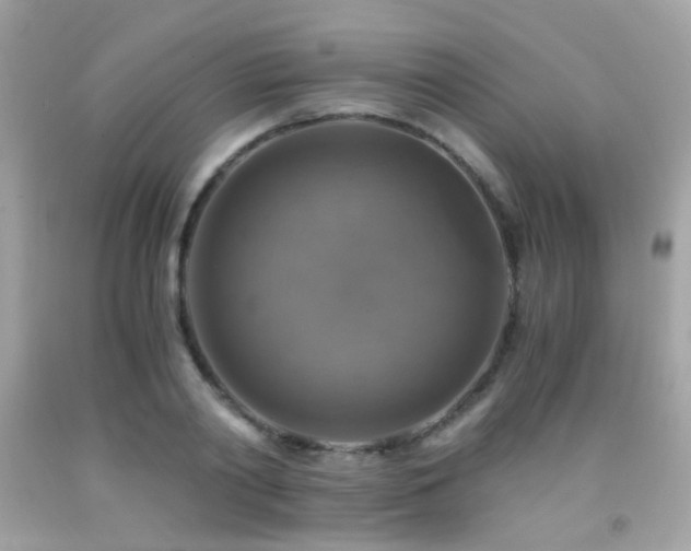 X0000091860790200709051207