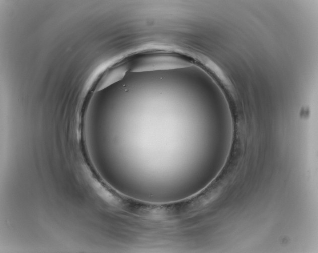 X0000091860791200709051207