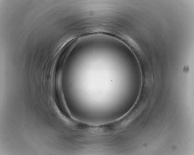 X0000091860793200709051207