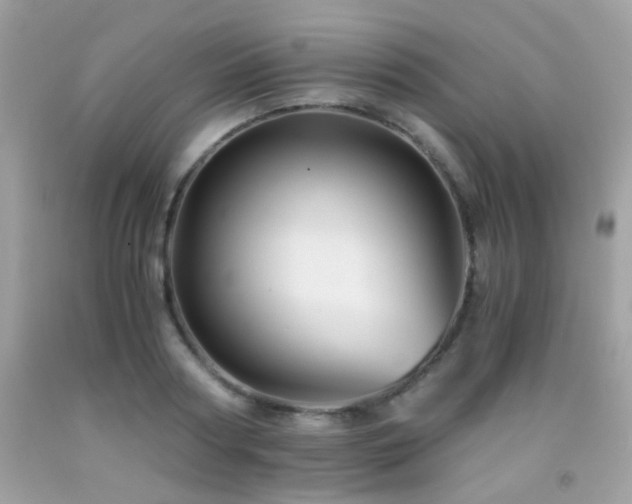 X0000091860794200709051207