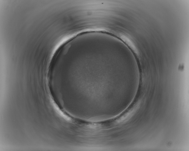 X0000091860797200709051207