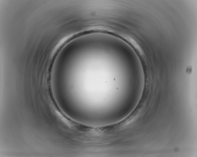 X0000091860799200709051207