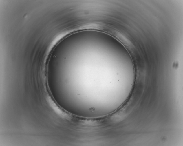 X0000091860800200709051207