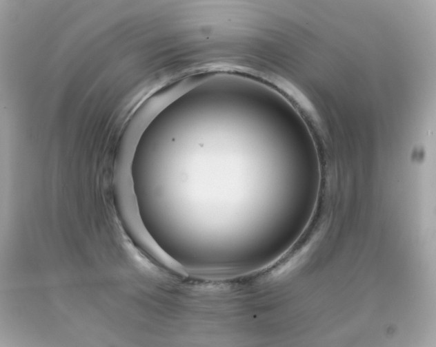 X0000091860801200709051207