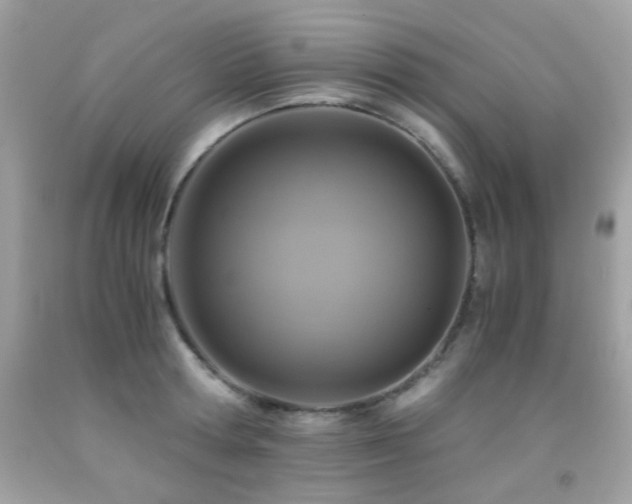 X0000091860802200709051207