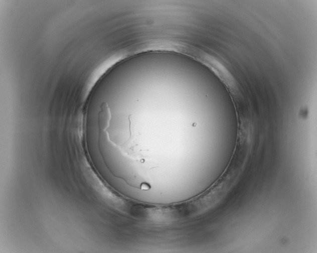 X0000091860804200709051207