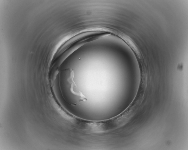 X0000091860805200709051207