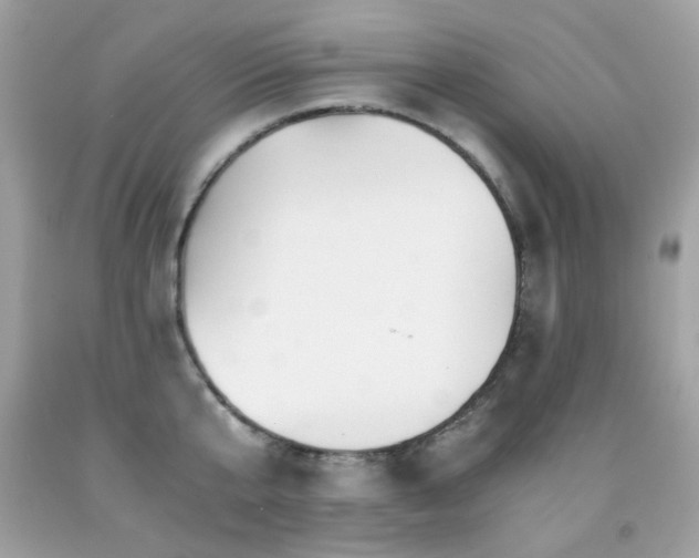 X0000091860807200709051207