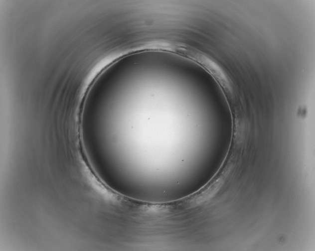 X0000091860808200709051207