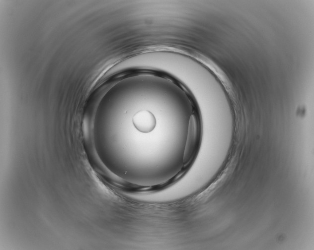 X0000091860809200709051207