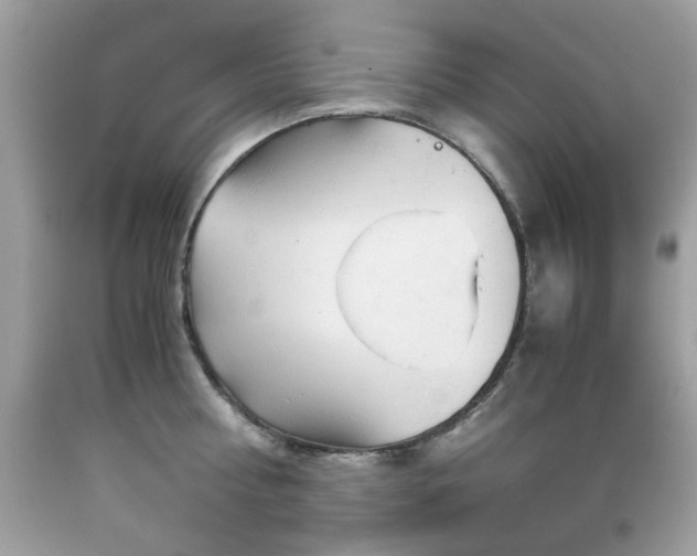 X0000091860810200709051207
