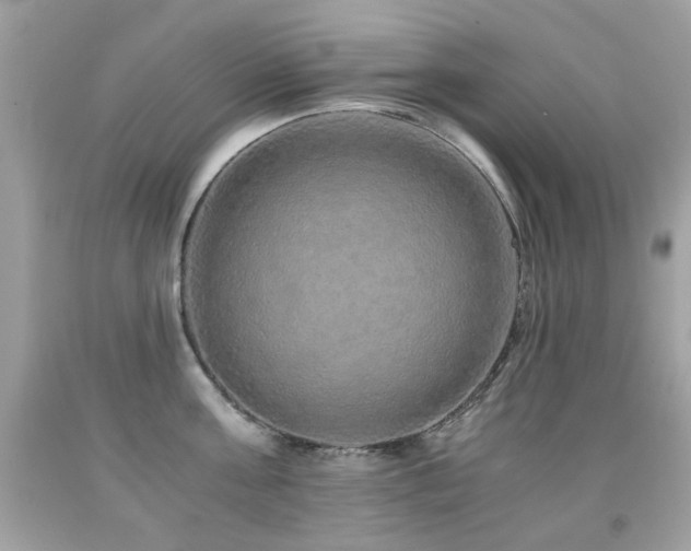X0000091860811200709051207