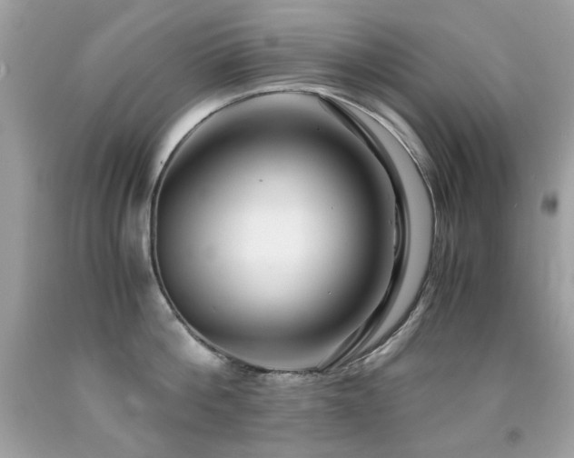X0000091860812200709051207