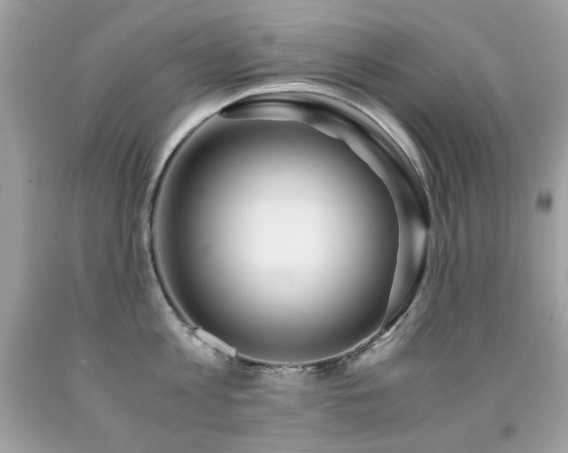 X0000091860813200709051207