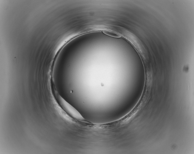 X0000091860814200709051207