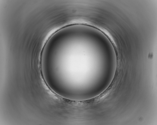 X0000091860815200709051207