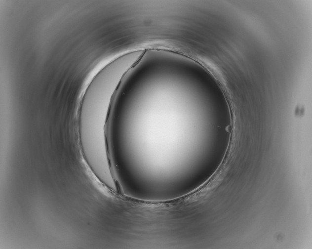 X0000091860816200709051207