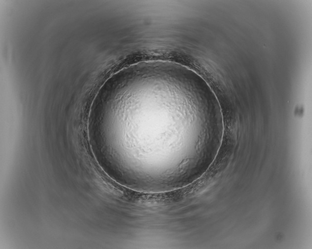 X0000091860817200709051206