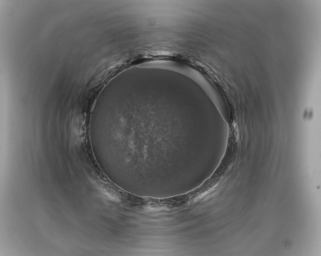 X0000091860818200709051206