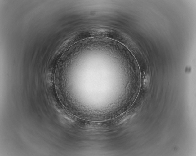X0000091860819200709051206