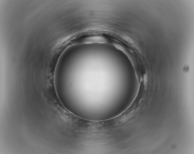 X0000091860822200709051206