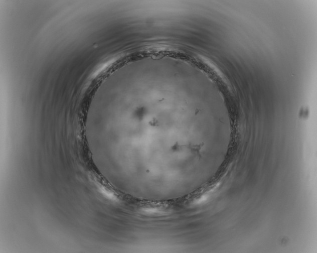 X0000091860823200709051206