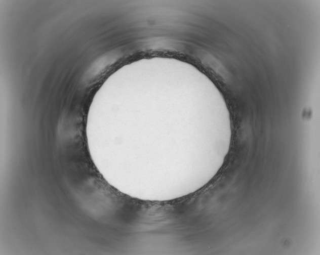 X0000091860824200709051206