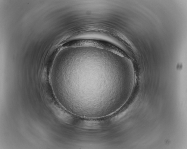 X0000091860825200709051206