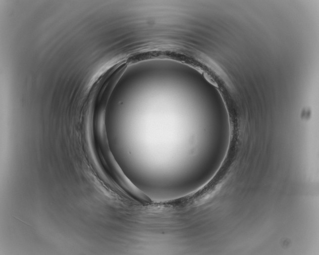 X0000091860826200709051206