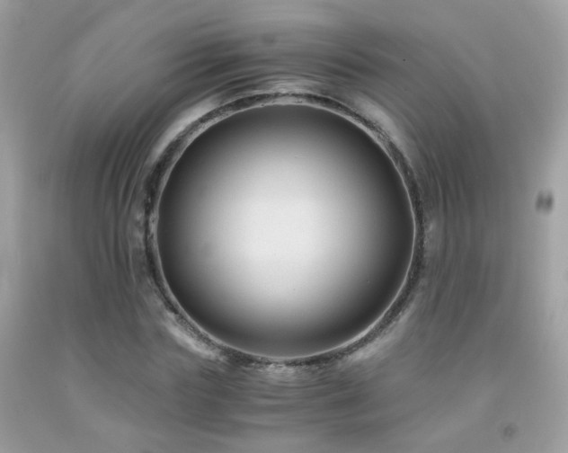 X0000091860827200709051206