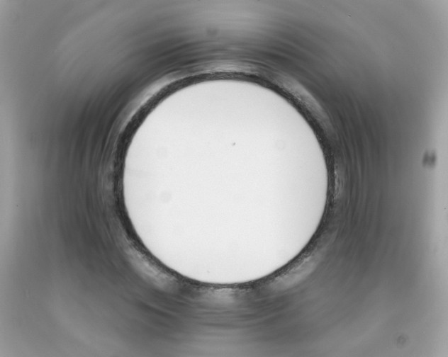 X0000091860828200709051206