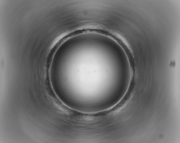 X0000091860829200709051206
