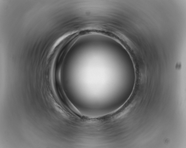 X0000091860830200709051206