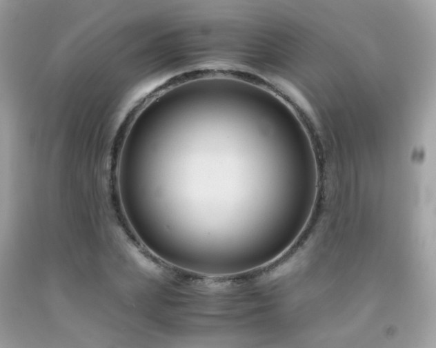 X0000091860831200709051206