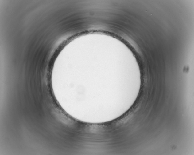 X0000091860832200709051206
