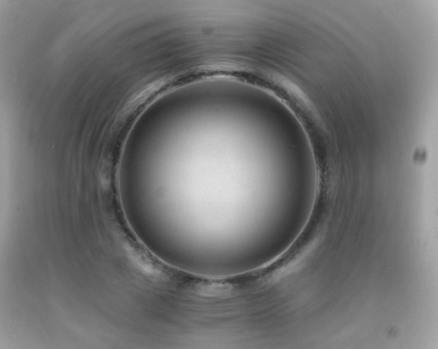 X0000091860833200709051206