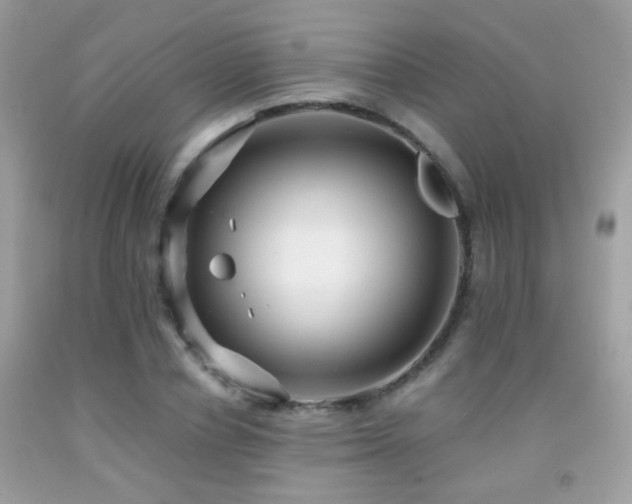 X0000091860834200709051206