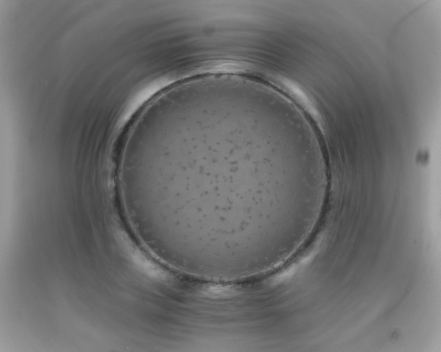 X0000091860835200709051206
