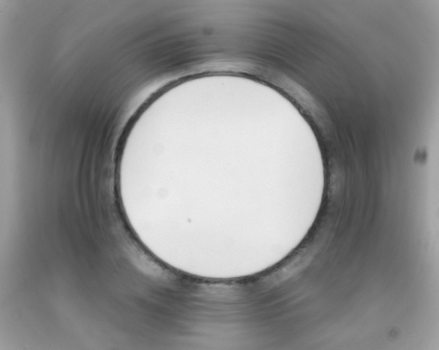 X0000091860836200709051206
