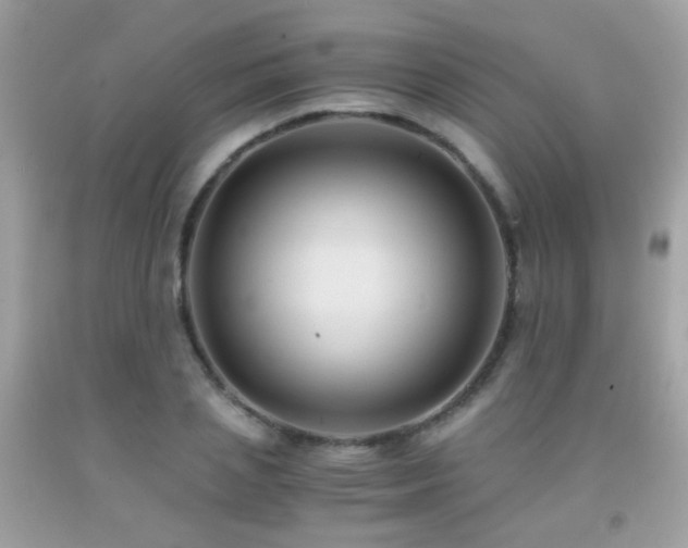 X0000091860837200709051206