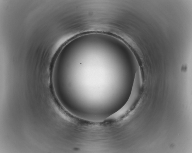X0000091860838200709051206