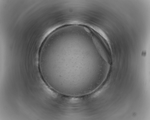 X0000091860839200709051206