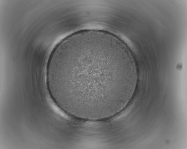 X0000091860840200709051206