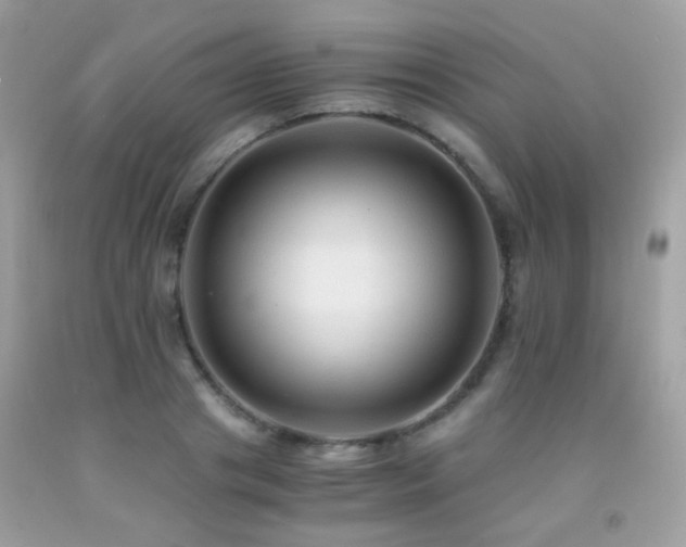 X0000091860841200709051206