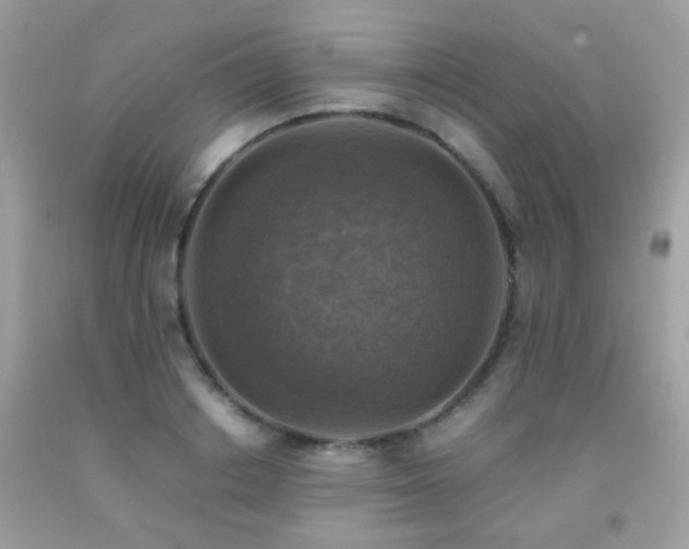 X0000091860842200709051206