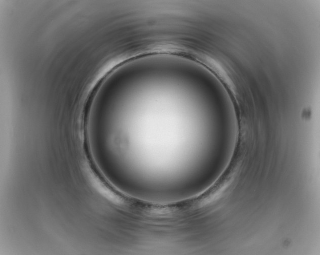X0000091860843200709051206