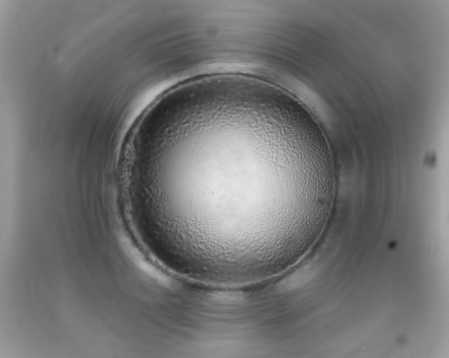 X0000091860844200709051206