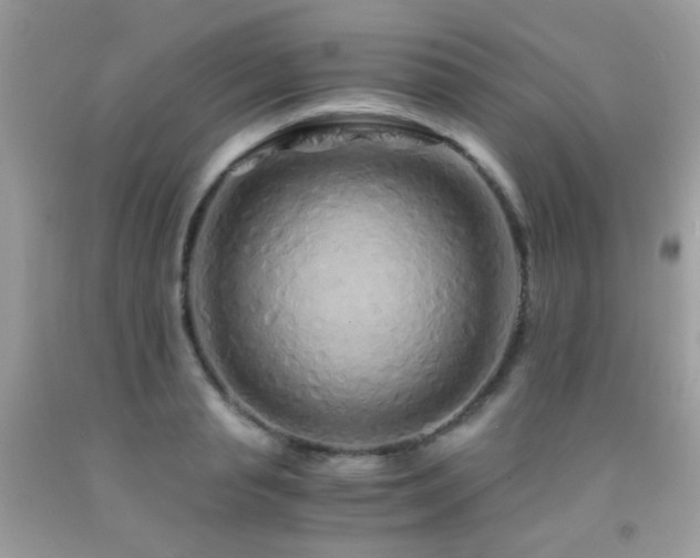 X0000091860845200709051206