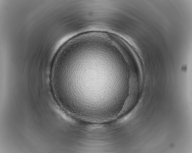 X0000091860846200709051206